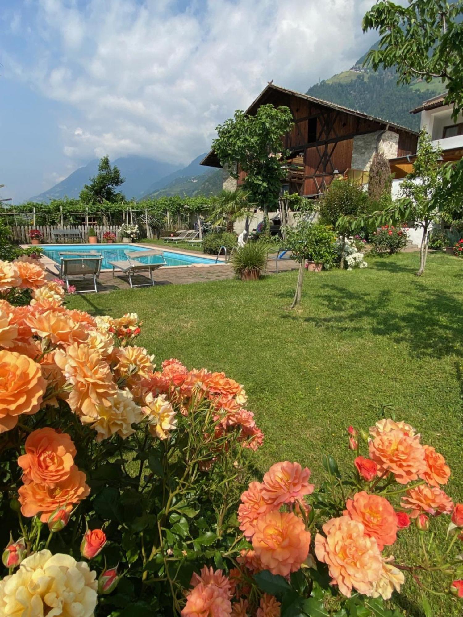 Garni-Hotel Tritscherhof Tirol Exteriér fotografie